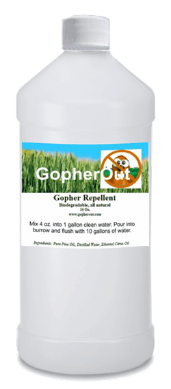 GopherOut Bottle