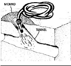 Flush Mound